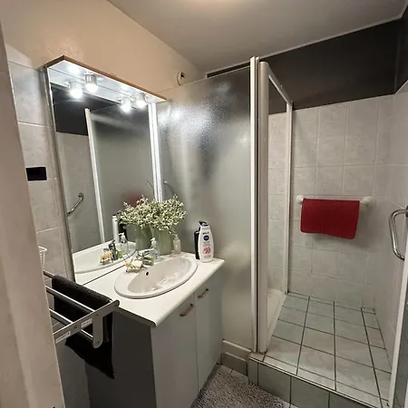 Meublé Les Dômes Du Parc 6ème Appartement *