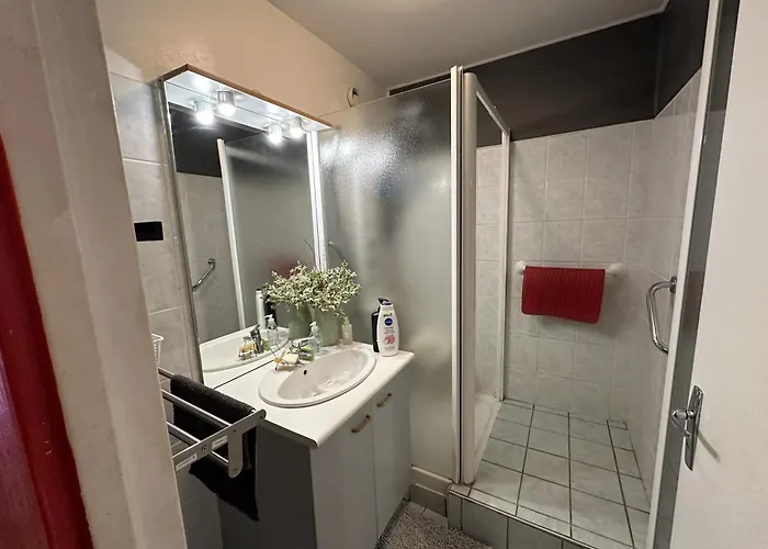 Meuble Les Domes Du Parc 6eme Apartment *